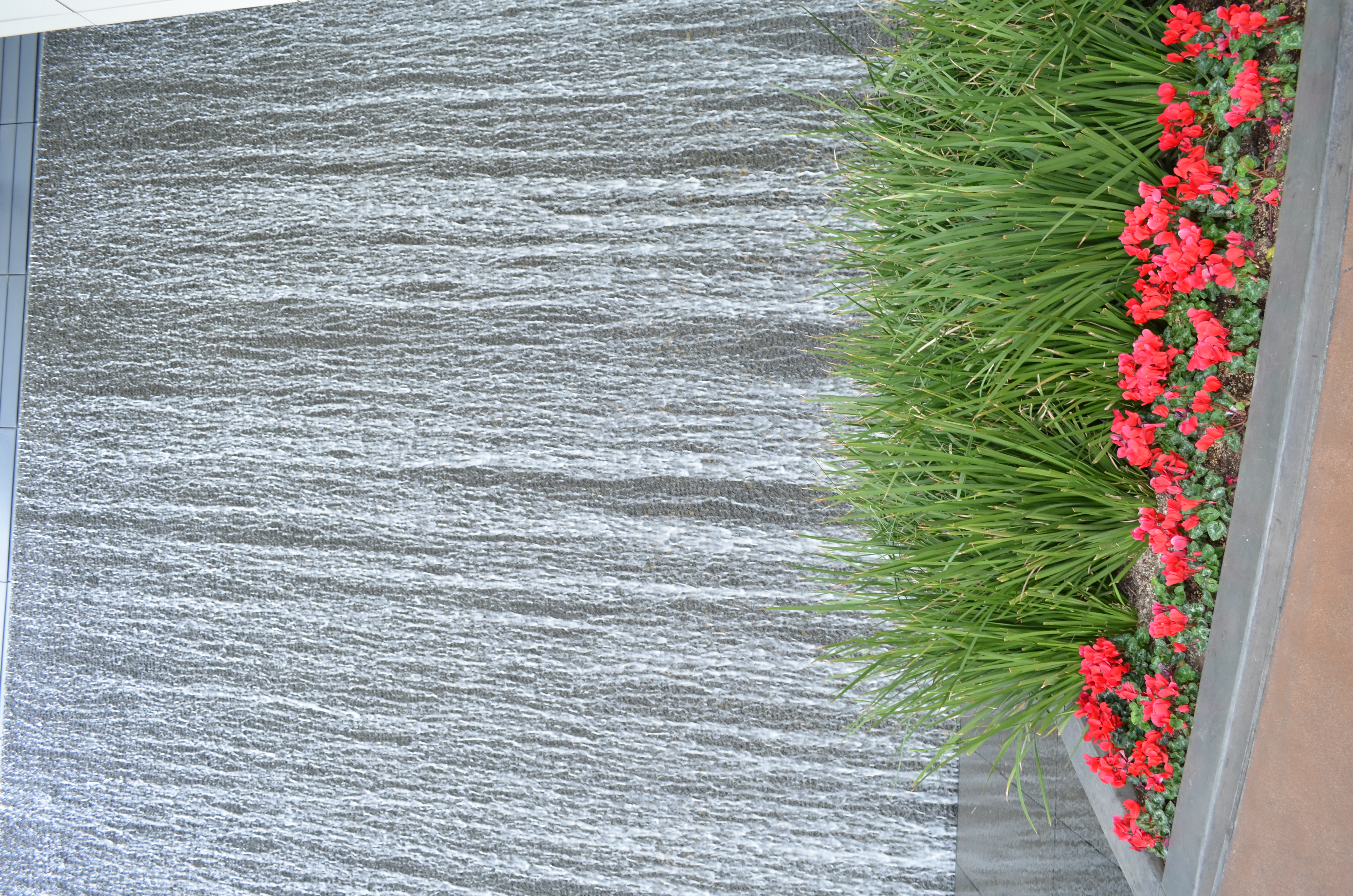 ./2016/04 - Las Vegas/Miscellaneous/DSC_0823.JPG